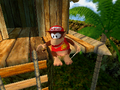 Diddy Kong Racing DS